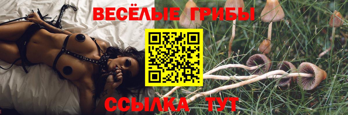 Псилоцибиновые грибы мухоморы Магнитогорск